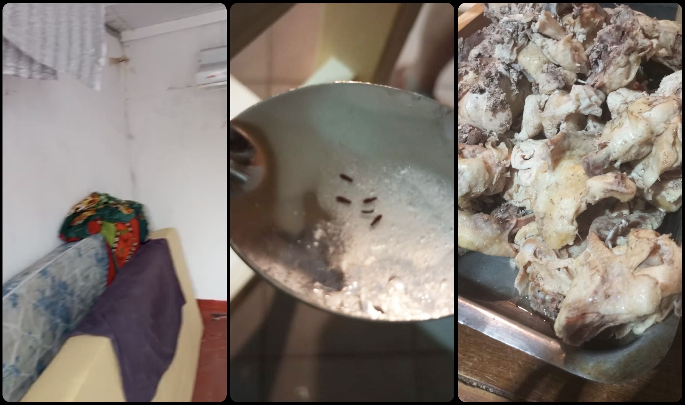 阿根廷足球青训黑幕:梦想工厂背后的残酷体系